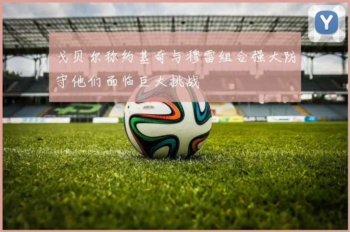 戈贝尔称约基奇与穆雷组合强大防守他们面临巨大挑战