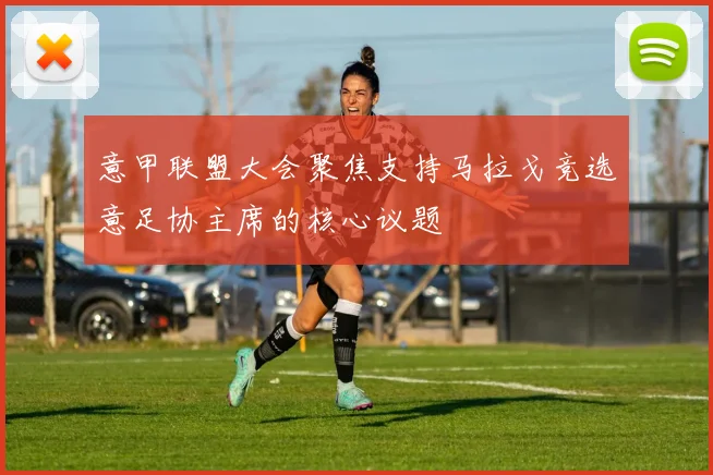 意甲联盟大会聚焦支持马拉戈竞选意足协主席的核心议题